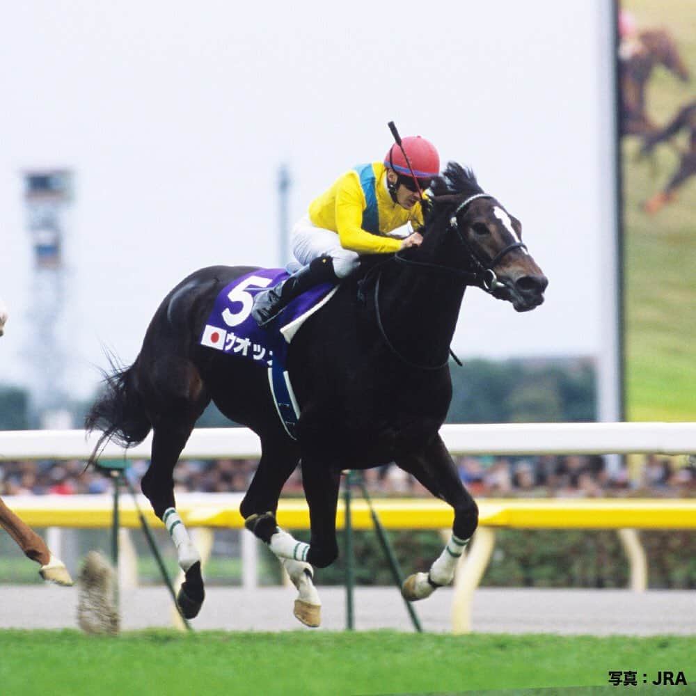 umabi_officialのインスタグラム：「今週末は、ジャパンカップ(GI)  #2009年の優勝馬は #ウオッカ #牝馬として64年ぶりに #日本ダービー を制した #最強牝馬 が #日本の牝馬として初めて #ジャパンカップ を制すると共に #7つ目のGIタイトルを手にしたよ #うまび #ジャパンカップ」