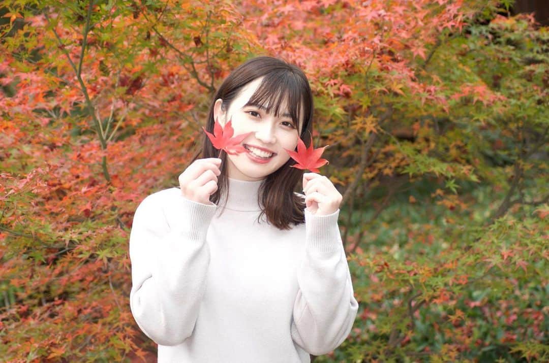 のインスタグラム：「紅葉狩り🍁  投票期間も残り10日となりました。 1票が凄く凄く大切になってきます🥺  是非本日もさやぽちお願い致します☺️❤️  ﻿ ﻿ ﻿ ﻿ ﻿ ﻿ ﻿ ﻿ ﻿  #関大ミスキャン #ミス関大 #関大 #ミスキャンパス #被写体モデル #被写体募集中 #サロンモデル #サロンモデル募集中 #関西サロンモデル #ヘアスタイル #ミディアムヘア #京都観光 #紅葉狩り #紅葉 #関西旅行 #関西モデル #カメラ好きな人と繋がりたい #関西デートスポット#カメラのある生活 #ポートレート撮影」