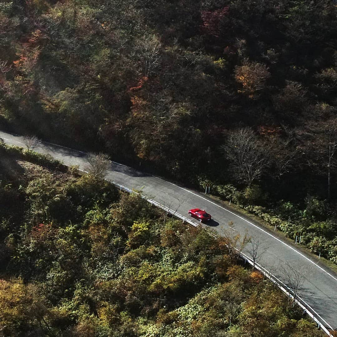 Ferrari Japanさんのインスタグラム写真 - (Ferrari JapanInstagram)「山道を駆け抜ける #FerrariRoma 。秋の装いと紅葉に溶けこむフェラーリローマのエレガンスをご覧ください。  #Ferrari #Japan #フェラーリ #フェラーリローマ #スーパーカー #スポーツカー #箱根」11月27日 15時27分 - ferrarijpn