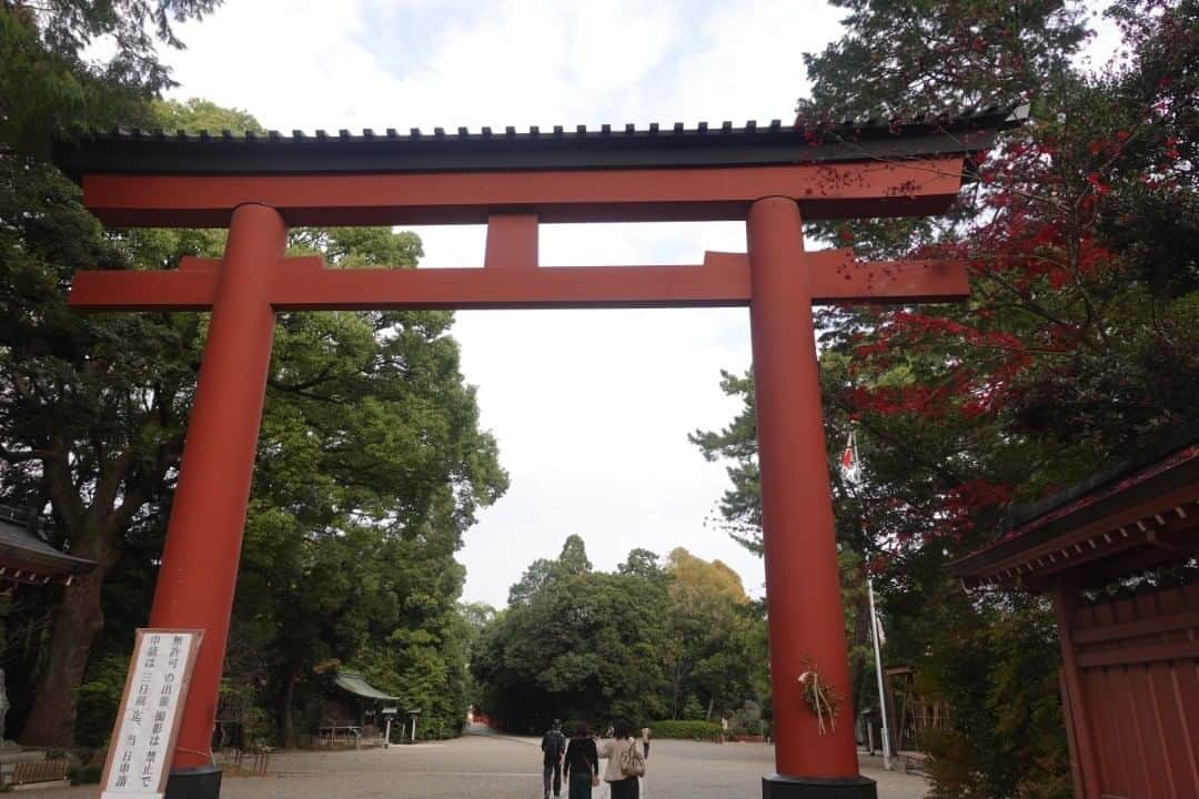 魔女菅原さんのインスタグラム写真 - (魔女菅原Instagram)「＃氷川神社　三の鳥居。ここから境内は撮影禁止（3日前までに許可をとれば大丈夫。撮影を頼んだらしい、七五三の兄妹が可愛かった）ですが、中に入って神池やいちばん奥の本殿など、もし機会があったらつぎは撮影許可をいただいて撮りたいと思いましたー。 ＃写真好きな人と繋がりたい ＃sonyvz1 ＃旅写真　＃神社写真撮るのが好き ＃魔女菅原」11月27日 15時34分 - hatsuyosugawara