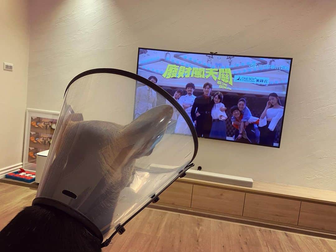 のインスタグラム：「身為財神 第一次看到首播 令人感動😭 #廢財闖天關  #三立華劇 #ep9」