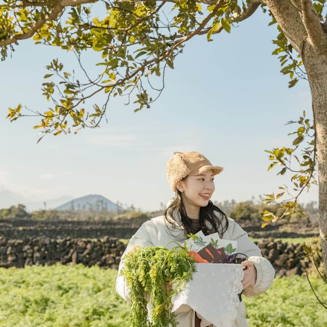 イニスフリー | 日本公式さんのインスタグラム写真 - (イニスフリー | 日本公式Instagram)「ㅤㅤㅤㅤㅤㅤㅤㅤㅤㅤ 美しいチェジュ島の大地の恵みをお届け🥕 ㅤㅤㅤㅤㅤㅤ イニスフリーならではの発想で生まれた #ルートベジタブルマスク 　 ㅤㅤㅤㅤㅤ  チェジュ島で手間ひまかけて栽培された根菜から美容成分をじっくりと長時間かけてオイル抽出をし、そのエキスを美容液に配合。ルートベジタブルマスクはその美容液をたっぷり染み込ませ、肌に根菜の恵みを届けます🤗  ㅤㅤㅤㅤㅤㅤㅤㅤㅤㅤ ㅤㅤㅤㅤㅤㅤ #innisfreejapan #イニスフリー #チェジュ島 #自然の恵み #スキンケア #イニスフリースキンケア #韓国コスメ #ルートマスク #シートマスク #パック #フェイスパック #根菜 #乾燥肌 #うるおい #美肌 #潤い肌 ＃根っこマスク」11月27日 15時52分 - innisfreejapan