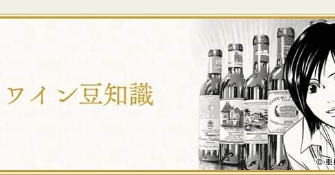 神の雫WINE SALONのインスタグラム：「今回は神の雫wine salonからワインに関する豆知識✨貴腐ワインとしてはボルドーソーテルヌ、ハンガリートカイ、ドイツのトロッケンベーレンアウスレーゼなどが有名ですが神の雫にも登場したこの甘口ワイン✨ちょっと勉強してみましょう😊  蜜のように甘い貴腐ワインとは？よりおいしく楽しむための基礎知識  https://kaminoshizuku.jp/blog/204  ----------------------------- 神の雫Wine Salon 公式HP https://kaminoshizuku.jp/」