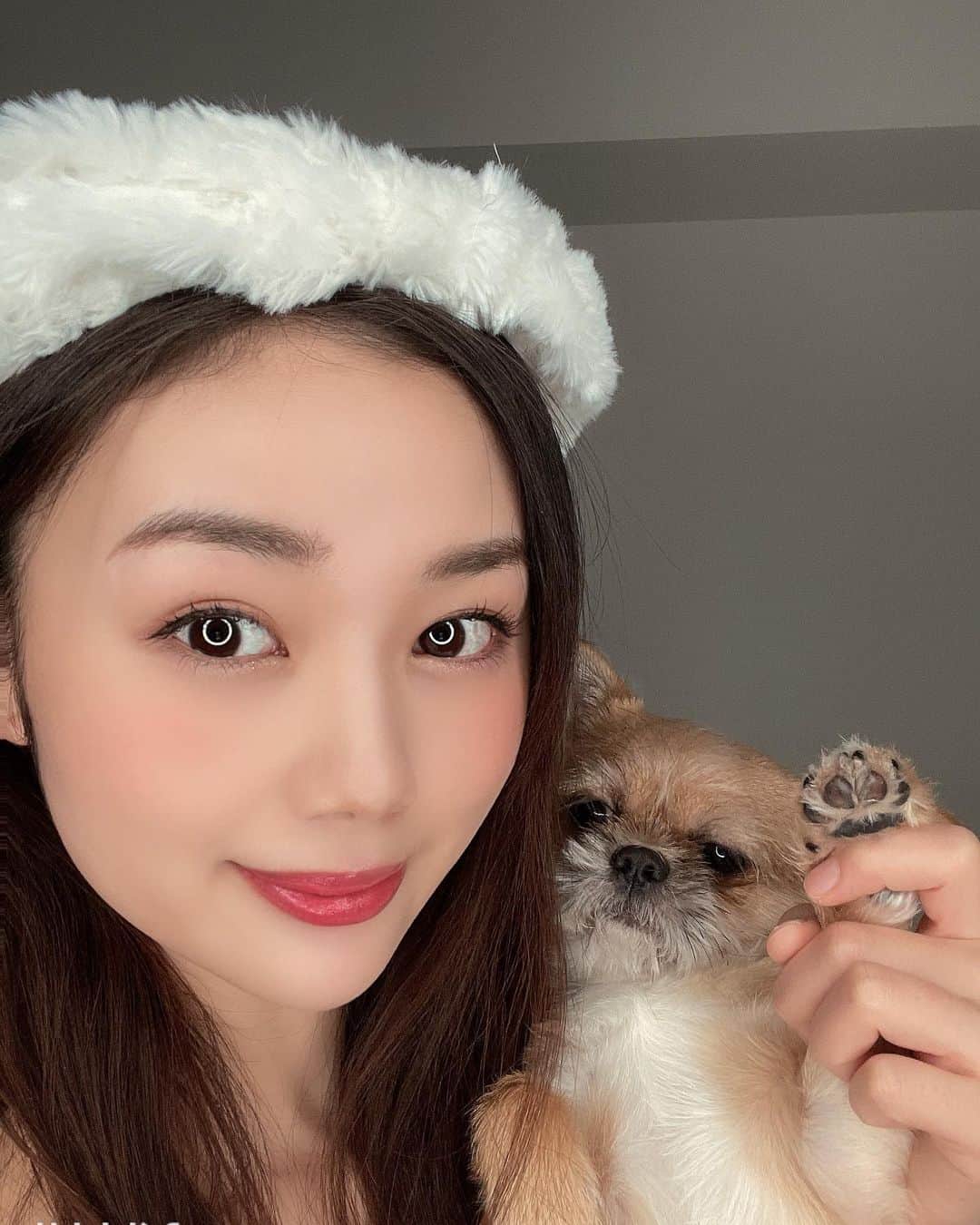 長野じゅりあのインスタグラム：「・ 私の可愛い息子❤️ ・ お犬様だいすき！ ・ でもお犬様は嫌そうな顔いつもするの ・ #お犬様　#チワワ　#シーズー　#コスプレ　#愛犬」