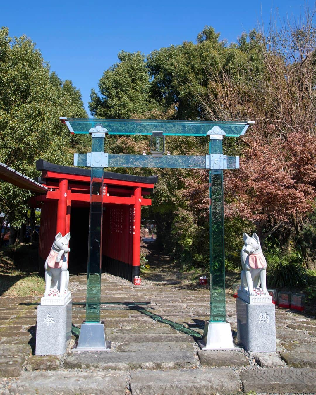 九州電力さんのインスタグラム写真 - (九州電力Instagram)「近未来的な神社で縁結び祈願⛩⁣ .⁣ 2018年に再建された鹿屋・神徳稲荷神社（じんとくいなりじんじゃ）の鳥居は、ガラス製の鳥居💎⁣ その奥には、130本を超える鳥居が連なる「千本鳥居」もあります👀⁣ 境内の至るところに置かれたおきつね様の置物は、絵馬みくじ🦊⁣ おみくじを引いた参拝客が願いを込めて残したものなのだとか💬⁣ フォトジェニックスポットばかりの境内はどこを切り取っても◎⁣ .⁣ 神徳稲荷神社周辺のおすすめスポット☝✨⁣ 神社巡りが好きな方は、海沿いの荒平天神へ足を伸ばしてみてはいかがでしょうか？🌊⁣ 満潮時には海に浮かんでいるように見える神秘的な風景に心奪われること間違いなし😳⁣⁣ （本アカウントでも、2020年9月11日に紹介しています😊）⁣ 日本最大級のばら園「かのやばら園」で、季節のばらを堪能したり、園オリジナルの「バラソフト」や「薔薇カレー」を食べたりするのもオススメです🌹⁣ .⁣ 📍神徳稲荷神社(鹿児島県鹿屋市新栄町)⁣ 👣鹿屋市役所から徒歩約15分⁣ .⁣ 気兼ねなくお出かけできる日が来るまで、お届けする九州の風景が、皆さまの元気や癒しになれば幸いです🍀⁣ 九電グループでは、「あしたプロジェクト～あしたを、しんじて、たすけあおう～」を展開しています。詳しくは、HPをご覧ください✨⁣ .⁣  #九電 #kyuden #九州の灯り #九州ぐらむ #広がり同盟 #九州旅行 #九州 #九州愛 #kyushu #鹿児島 #kagoshima #かごしま #どんどん鹿児島 #鹿屋市 #鹿屋 #神徳稲荷神社 #神社 #鳥居 #千本鳥居 #神社好き #神社巡り #jinja #shrine #パワースポット #参拝 #絶景スポット #インスタスポット #絶景delic #tripgramjp #あしたプロジェクト」11月27日 17時02分 - kyuden_official