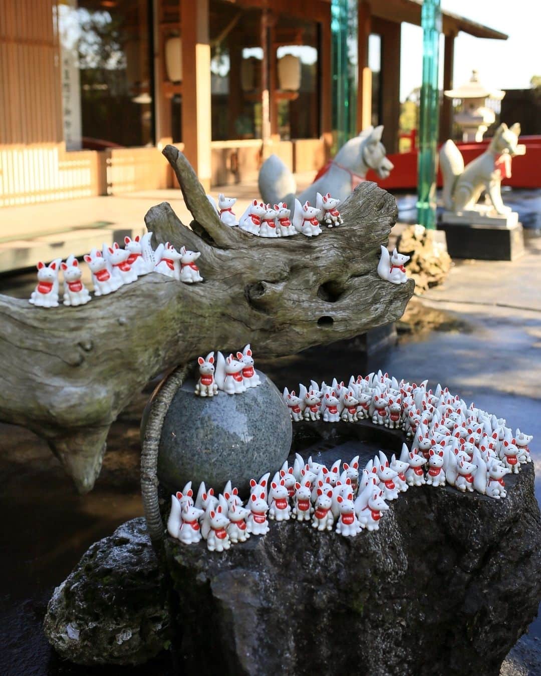 九州電力さんのインスタグラム写真 - (九州電力Instagram)「近未来的な神社で縁結び祈願⛩⁣ .⁣ 2018年に再建された鹿屋・神徳稲荷神社（じんとくいなりじんじゃ）の鳥居は、ガラス製の鳥居💎⁣ その奥には、130本を超える鳥居が連なる「千本鳥居」もあります👀⁣ 境内の至るところに置かれたおきつね様の置物は、絵馬みくじ🦊⁣ おみくじを引いた参拝客が願いを込めて残したものなのだとか💬⁣ フォトジェニックスポットばかりの境内はどこを切り取っても◎⁣ .⁣ 神徳稲荷神社周辺のおすすめスポット☝✨⁣ 神社巡りが好きな方は、海沿いの荒平天神へ足を伸ばしてみてはいかがでしょうか？🌊⁣ 満潮時には海に浮かんでいるように見える神秘的な風景に心奪われること間違いなし😳⁣⁣ （本アカウントでも、2020年9月11日に紹介しています😊）⁣ 日本最大級のばら園「かのやばら園」で、季節のばらを堪能したり、園オリジナルの「バラソフト」や「薔薇カレー」を食べたりするのもオススメです🌹⁣ .⁣ 📍神徳稲荷神社(鹿児島県鹿屋市新栄町)⁣ 👣鹿屋市役所から徒歩約15分⁣ .⁣ 気兼ねなくお出かけできる日が来るまで、お届けする九州の風景が、皆さまの元気や癒しになれば幸いです🍀⁣ 九電グループでは、「あしたプロジェクト～あしたを、しんじて、たすけあおう～」を展開しています。詳しくは、HPをご覧ください✨⁣ .⁣  #九電 #kyuden #九州の灯り #九州ぐらむ #広がり同盟 #九州旅行 #九州 #九州愛 #kyushu #鹿児島 #kagoshima #かごしま #どんどん鹿児島 #鹿屋市 #鹿屋 #神徳稲荷神社 #神社 #鳥居 #千本鳥居 #神社好き #神社巡り #jinja #shrine #パワースポット #参拝 #絶景スポット #インスタスポット #絶景delic #tripgramjp #あしたプロジェクト」11月27日 17時02分 - kyuden_official
