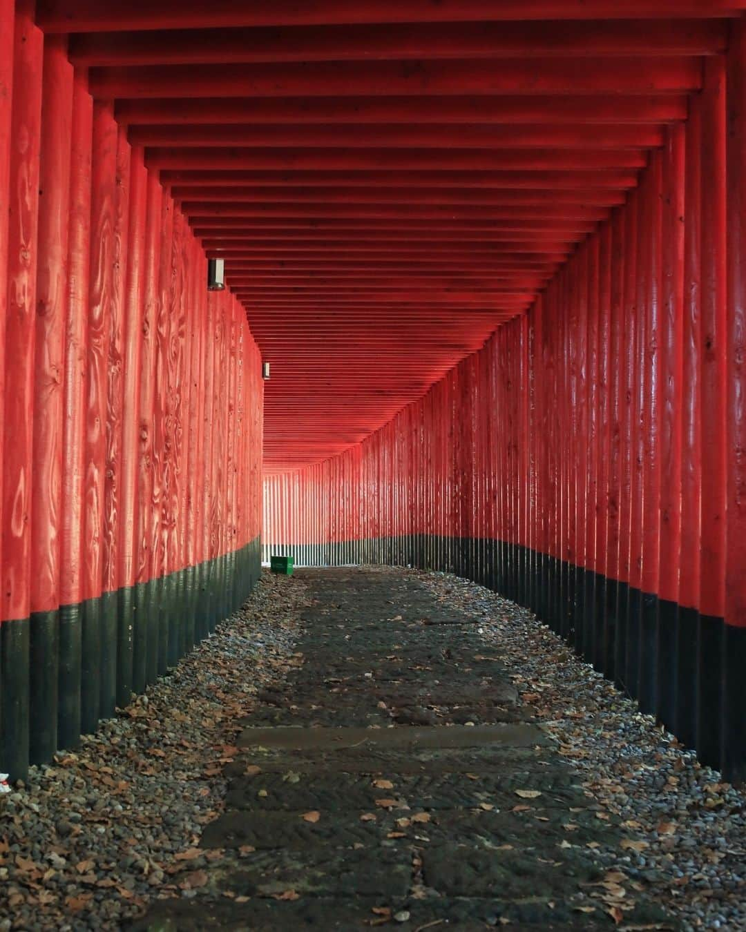 九州電力さんのインスタグラム写真 - (九州電力Instagram)「近未来的な神社で縁結び祈願⛩⁣ .⁣ 2018年に再建された鹿屋・神徳稲荷神社（じんとくいなりじんじゃ）の鳥居は、ガラス製の鳥居💎⁣ その奥には、130本を超える鳥居が連なる「千本鳥居」もあります👀⁣ 境内の至るところに置かれたおきつね様の置物は、絵馬みくじ🦊⁣ おみくじを引いた参拝客が願いを込めて残したものなのだとか💬⁣ フォトジェニックスポットばかりの境内はどこを切り取っても◎⁣ .⁣ 神徳稲荷神社周辺のおすすめスポット☝✨⁣ 神社巡りが好きな方は、海沿いの荒平天神へ足を伸ばしてみてはいかがでしょうか？🌊⁣ 満潮時には海に浮かんでいるように見える神秘的な風景に心奪われること間違いなし😳⁣⁣ （本アカウントでも、2020年9月11日に紹介しています😊）⁣ 日本最大級のばら園「かのやばら園」で、季節のばらを堪能したり、園オリジナルの「バラソフト」や「薔薇カレー」を食べたりするのもオススメです🌹⁣ .⁣ 📍神徳稲荷神社(鹿児島県鹿屋市新栄町)⁣ 👣鹿屋市役所から徒歩約15分⁣ .⁣ 気兼ねなくお出かけできる日が来るまで、お届けする九州の風景が、皆さまの元気や癒しになれば幸いです🍀⁣ 九電グループでは、「あしたプロジェクト～あしたを、しんじて、たすけあおう～」を展開しています。詳しくは、HPをご覧ください✨⁣ .⁣  #九電 #kyuden #九州の灯り #九州ぐらむ #広がり同盟 #九州旅行 #九州 #九州愛 #kyushu #鹿児島 #kagoshima #かごしま #どんどん鹿児島 #鹿屋市 #鹿屋 #神徳稲荷神社 #神社 #鳥居 #千本鳥居 #神社好き #神社巡り #jinja #shrine #パワースポット #参拝 #絶景スポット #インスタスポット #絶景delic #tripgramjp #あしたプロジェクト」11月27日 17時02分 - kyuden_official