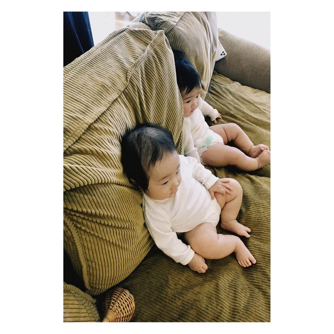 野尻美穂のインスタグラム：「最近の👼🏻👼🏻👼🏻 #にこひばひな」