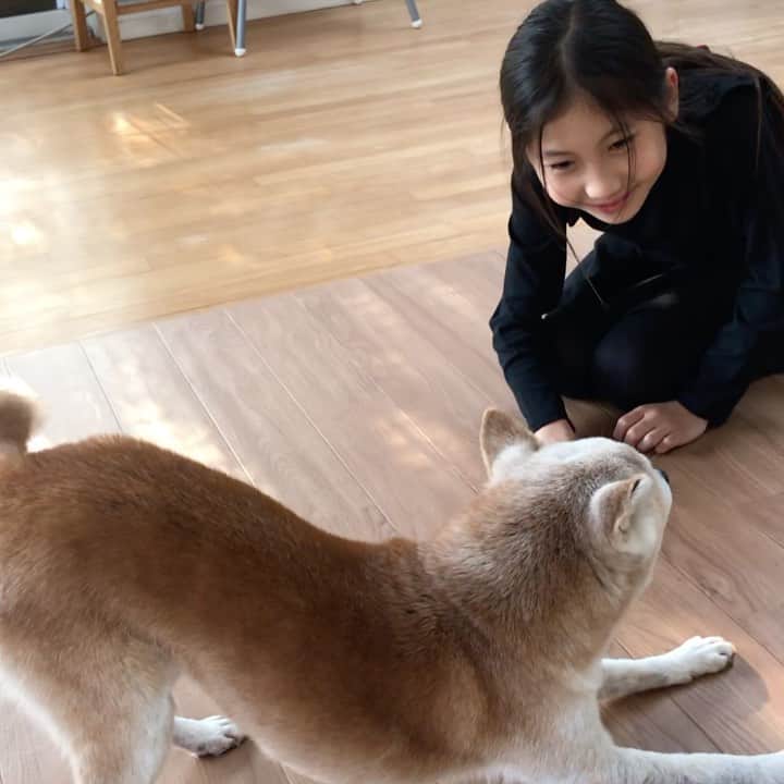 柴犬リリコのインスタグラム：「🐶 vs 👧🏻ちょっかいの出し合い😅」