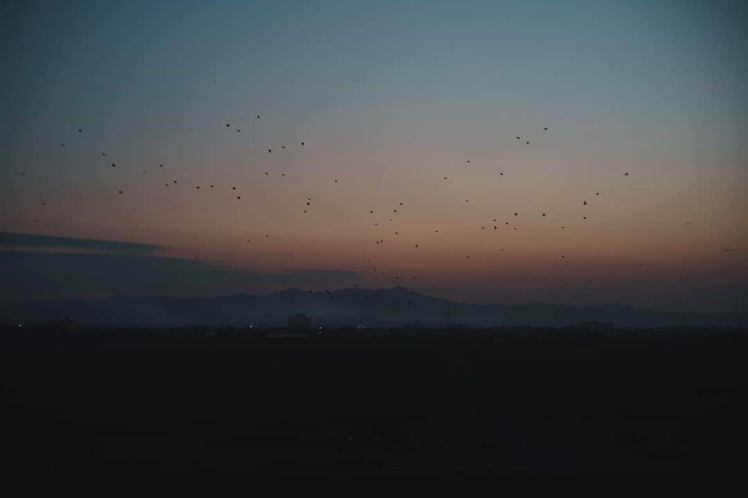 市川渚のグルメインスタ