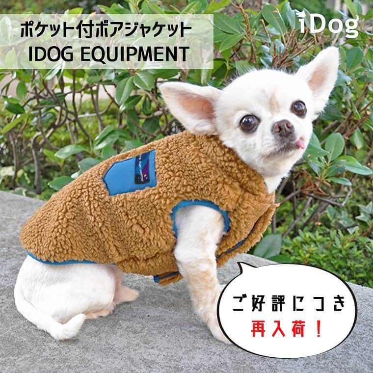 iDog&iCatのインスタグラム