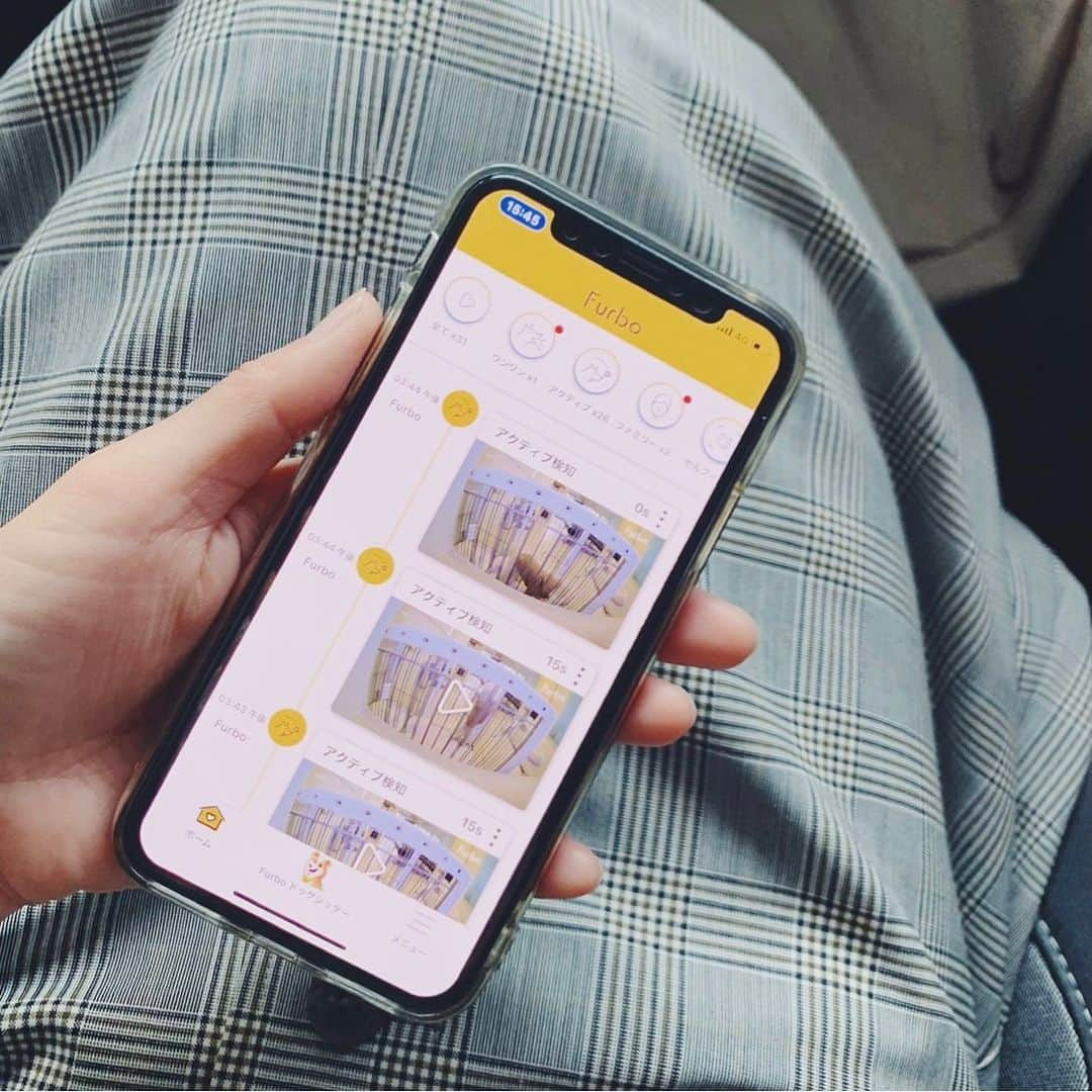 mizuさんのインスタグラム写真 - (mizuInstagram)「いつもロッタを見守ってくれているFurbo。 ドッグシッター機能という新しいサービスに登録してみたのでご紹介させてください。(無料トライアルがあるのでまずはお試しできます。) 我が家は少しのお留守番はフリーにすることもありますが、長い時などはケージにいれています。  特に便利でうれしい機能が、クラウドレコーディングとドギーダイアリーです。  ⁎クラウドレコーディング(3枚目) ロッタが動く度にその様子を録画してくれます。今までよりも細かく通知があり、さらにそれを録画しといてくれるので、何かあった時に見逃さずにすみとても助かっています！ 以前からファーボのおかげで遠吠えしてるのはわかっていたけど、その全てを知ることができました。お留守番は少ない方だと思うけど、それでも寂しい思いをさせてるんだなと改めて感じました。  ⁎ドギーダイアリー(4枚目) 1日の様子を早回しで1分ほどの動画にまとめてくれます。 作成のお知らせが届いたらすぐにチェック！ 何度もジャンプしたり(車や玄関を開ける音でいつもジャンプします)、あ、お水飲んだ、トイレ行った、とほっこりにやにやしちゃうし、愛おしさが増します♡ お留守番の様子をまとめて見れるので、本当にありがたいのです。帰宅後の楽しみにもなっています♡ 保存もできるので、後日また見返したりしています。 便利な世の中になったなぁ…☺︎  そんなFurboが年末最大セール開催中⋆︎* 10,500円OFFの最安値でFurboをゲットできるチャンスです。 私のプロフィールにあるURLから確認できますので、ご検討中の方はぜひこの機会に☺︎  @furbo_japan  #Furbo  #ファーボ　#ドッグカメラ　#ドッグシッター　#PR」11月27日 17時48分 - micchelocche