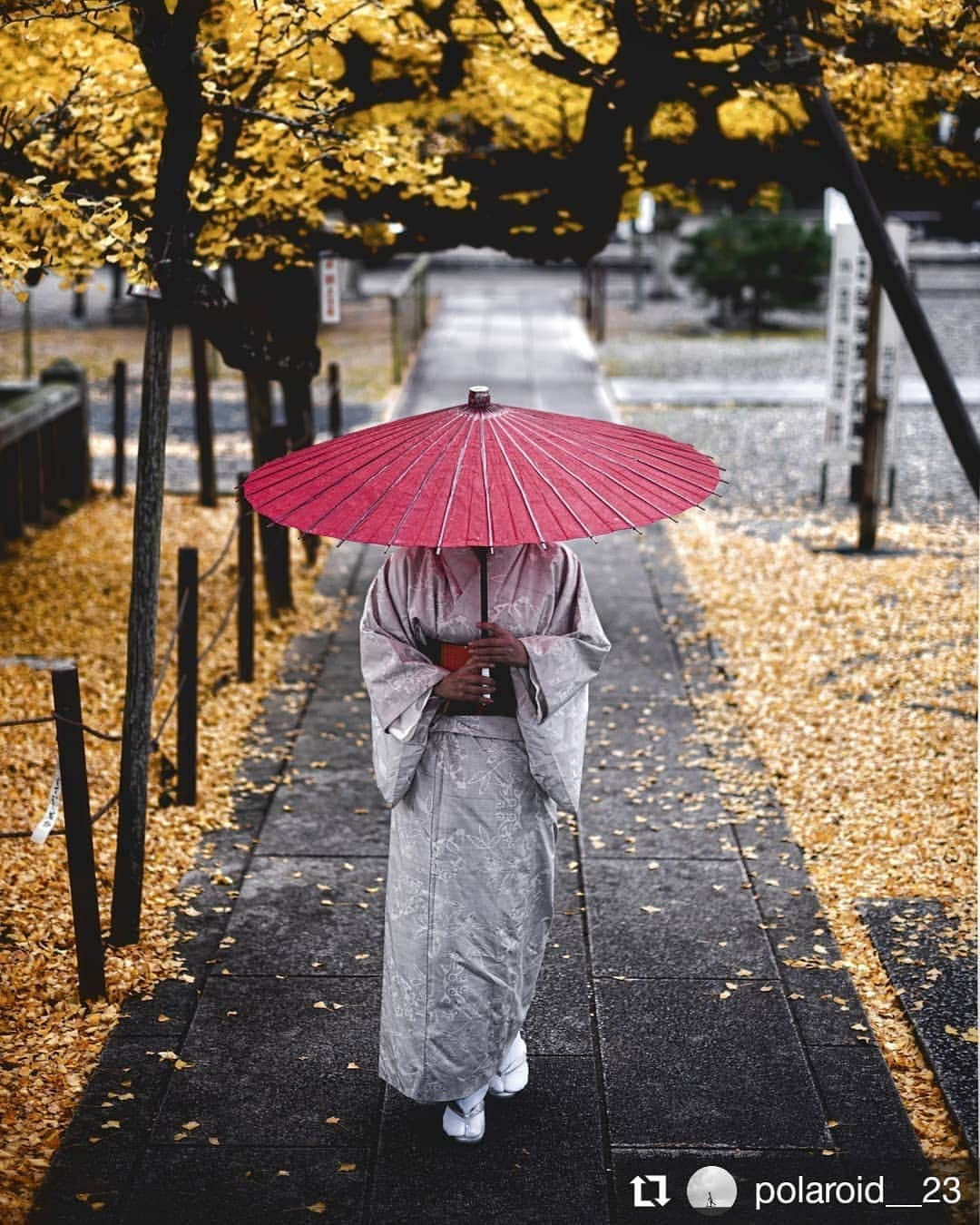 カメラのキタムラさんのインスタグラム写真 - (カメラのキタムラInstagram)「#Repost @polaroid__23 • • • • • • Okayama Prefecture  『和』 #japan #日本の秋 #ファインダー越しのわたしの世界  #写真好きな人と繋がりたい #東京カメラ部  #as_archive  #indies_gram #vivid_impact  #indy_photolife #screen_archive #kf_gallery  #reco_ig  #jp_gallery #Ray_moment #IG_PHOS #nipponpic #bestphoto_japan #Lovers_Nippon #art_of_japan #whim_life #japan_of_insta #bestjapanpics #photo_jpn #indy_photolife #pt_life_ #ptk_japan #colore_de_saison #Rox_Captures #i_c_part #hubsplanet」11月27日 17時58分 - camera_kitamura