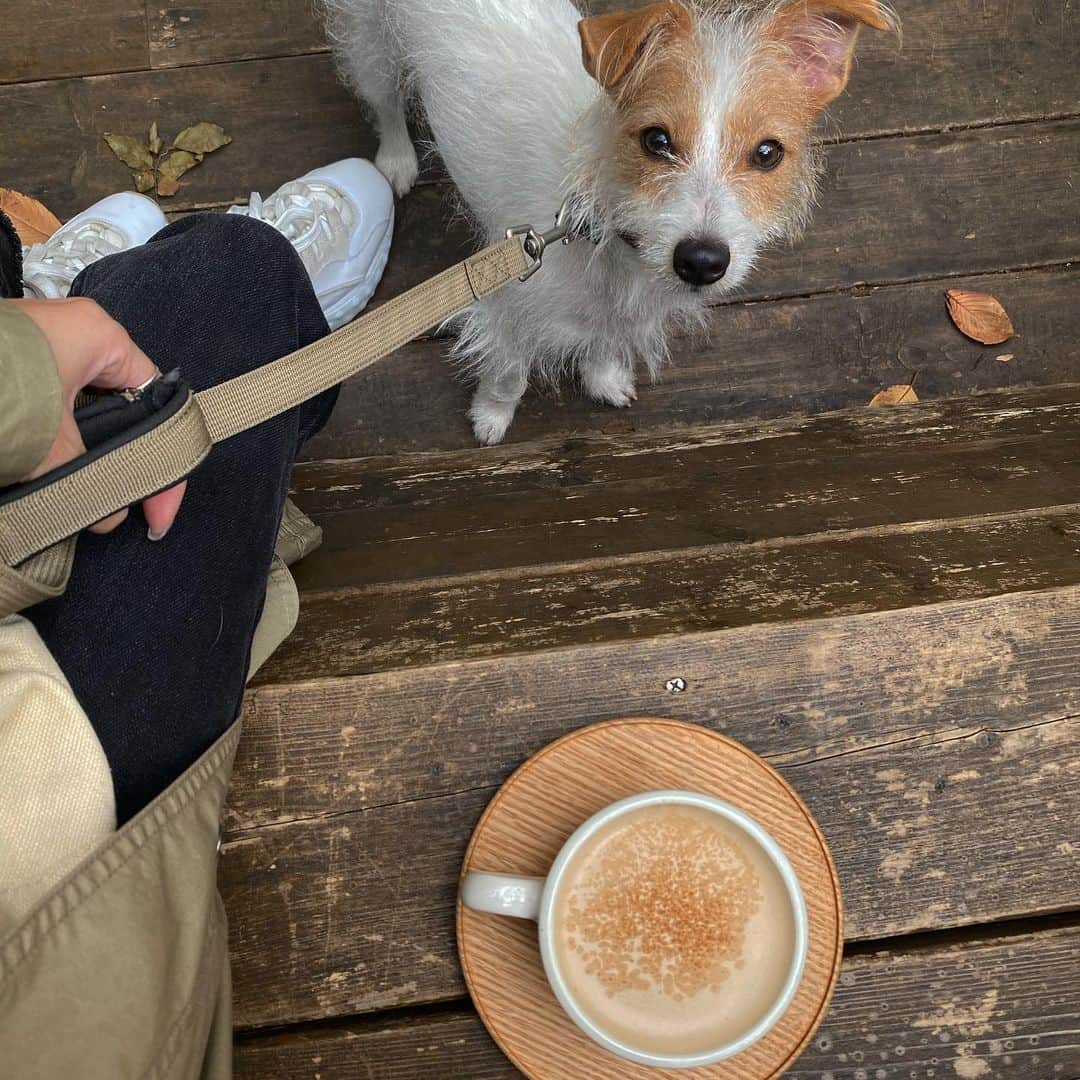 水野里砂のインスタグラム：「🐶☕︎」