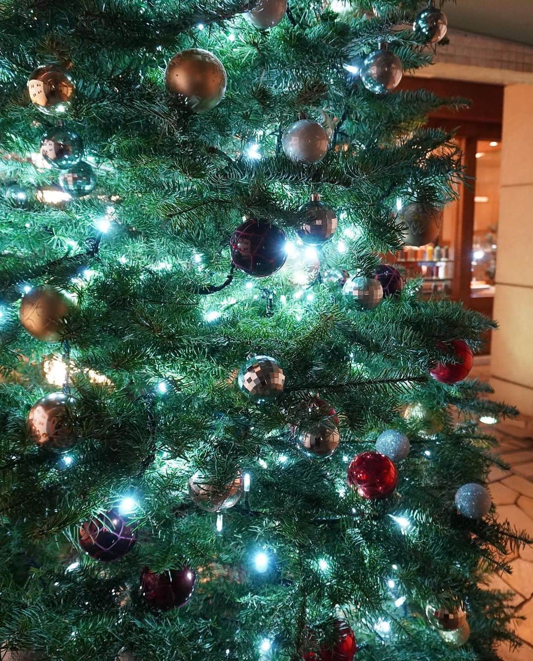 AOYAMA_HANAMOさんのインスタグラム写真 - (AOYAMA_HANAMOInstagram)「クリスマスに向けてオレゴンツリーの設置が増えています。 ・ 北米から輸入している本場のオレゴンツリー。 枝と枝の間隔が短く、国産のモミの木よりもボリュームがあるのが特徴です。 本格的なツリーは香りもあり、高級感が漂います。 ・ 今年の受付は人気のため締め切ってしまったのですが、ご興味ある方は是非来年ご注文をお待ちしております。 ※来年9月頃から受付予定です - - - #aoyamahanamo #flowers #flowershop #florist #instaflower #flowergram #flowerstagram #flowerlovers #青山 #青山花茂  #表参道 #クリスマスフラワーアレンジメント #クリスマス生け込み #オレゴンツリー #青山花茂生け込み #花のある日常 #インスタフラワー #インテリアフラワー #クリスマスツリー」11月27日 18時08分 - aoyama_hanamo