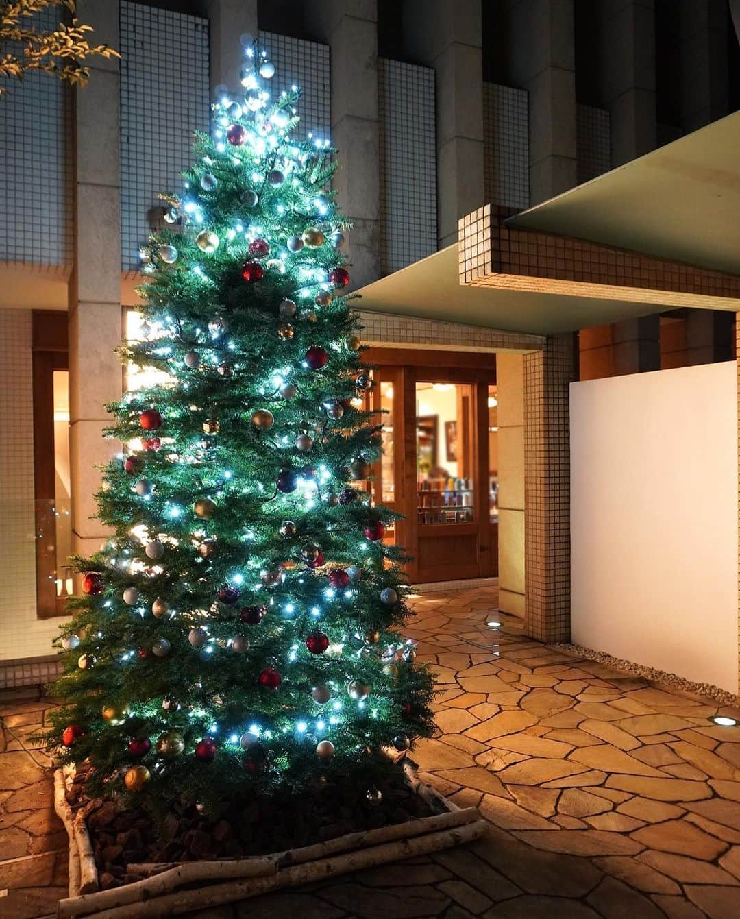 のインスタグラム：「クリスマスに向けてオレゴンツリーの設置が増えています。 ・ 北米から輸入している本場のオレゴンツリー。 枝と枝の間隔が短く、国産のモミの木よりもボリュームがあるのが特徴です。 本格的なツリーは香りもあり、高級感が漂います。 ・ 今年の受付は人気のため締め切ってしまったのですが、ご興味ある方は是非来年ご注文をお待ちしております。 ※来年9月頃から受付予定です - - - #aoyamahanamo #flowers #flowershop #florist #instaflower #flowergram #flowerstagram #flowerlovers #青山 #青山花茂  #表参道 #クリスマスフラワーアレンジメント #クリスマス生け込み #オレゴンツリー #青山花茂生け込み #花のある日常 #インスタフラワー #インテリアフラワー #クリスマスツリー」