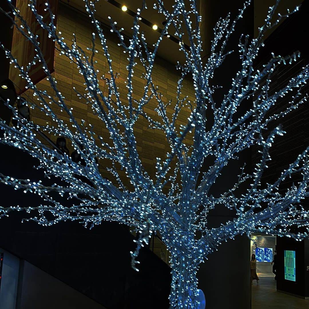 松村太郎のインスタグラム：「#東京スカイツリー の麓にあるイルミネーション。大学の帰りに眺めつつ。   #illumination #🎄#tokyo #holiday #happyholidays #イルミネーション #クリスマス #ツリーがあると撮っちゃう #ShotoniPhome」