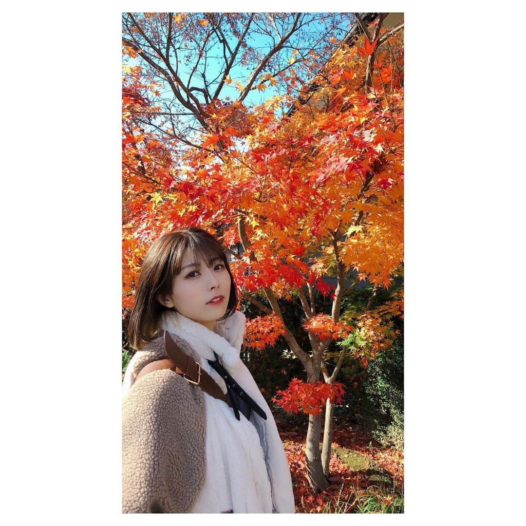 森脇加奈子さんのインスタグラム写真 - (森脇加奈子Instagram)「🍁  紅葉を見ました 都会の喧騒から逃れる日があってもいいよね」11月27日 18時26分 - canaco316