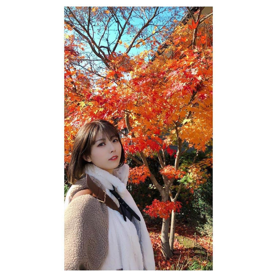 森脇加奈子のインスタグラム：「🍁  紅葉を見ました 都会の喧騒から逃れる日があってもいいよね」