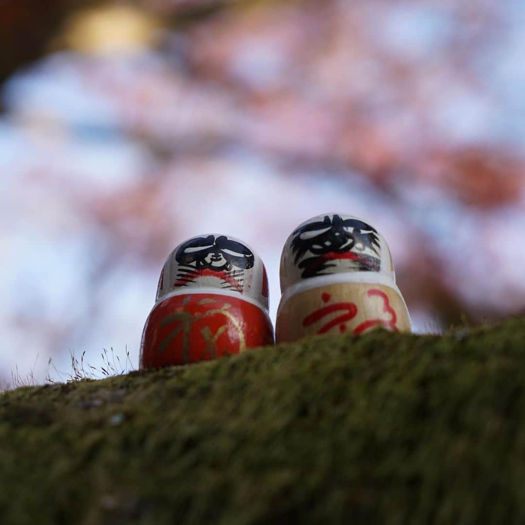 藤原時さんのインスタグラム写真 - (藤原時Instagram)「大阪は箕面市にある「ダルマ寺」こと「勝尾寺」に行ってまいりました。あの世に足を踏み入れてしまったかと勘違いするほどの壮観な風景に心を奪われ、気づけば境内に二時間。 篠山紀信先生さながらダルマを色んな角度で艶やかに撮らせていただきました。皆様も一休みに是非。  #勝尾寺 #japan #osaka #temple  #autumnleaves #katuoji #daruma #トキ写真展 #fujisakitoki #α7r2 #紅葉　#紅葉に行こうよう　#引退レベルのボケ」11月27日 18時42分 - fujisakitoki