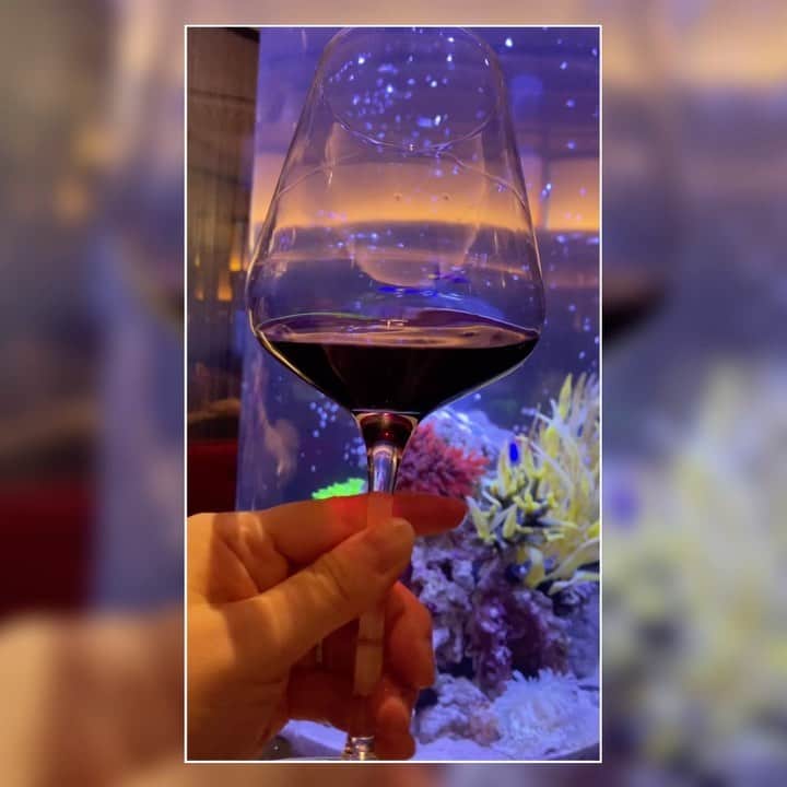 のインスタグラム：「Je Mare ~ジェマーレ~  🍷シャトー・ロックブリュンヌ  ワインの涙見てるの幸せ💓目の保養✨  🐥Twitterもフォローしてね▶︎▶︎▶︎@kamikimahoro   #jemare #新宿グルメ #新宿三丁目 #chateauroquebrune #francewine #ワイン #ワイン好きな人と繋がりたい #ワイン好き#churchwindows #winestagram #マランゴニ対流#幸せな時間 #happiness #instafollow #twitterfollow」