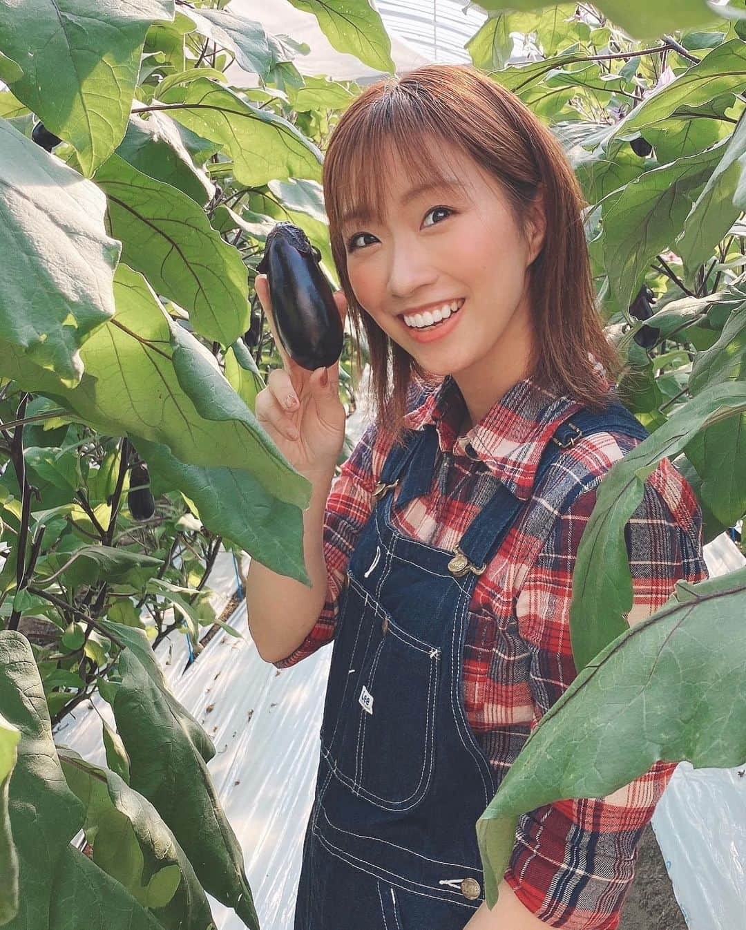 津田菜都美さんのインスタグラム写真 - (津田菜都美Instagram)「* 🍅🍆🥒🧑🏻‍🌾 野菜の中でトマトがいちばん好き︎︎︎︎✌︎リコピンあげええい🥰この名物なす丼がめちゃくちゃおいしくて忘れられーん！ねぎの下に山芋とろろですよ❤︎美味しさ倍増︎︎︎︎︎︎︎︎！！！家で作ろ〜っと。なすび〜む🍆 #ロケ撮影#高知県#高知市#南国市#安芸市#トマト農家#ナス農家#きゅうり農家#農業ガール#農girl農life#なす丼#最高です」11月27日 19時16分 - tsuda_723_official