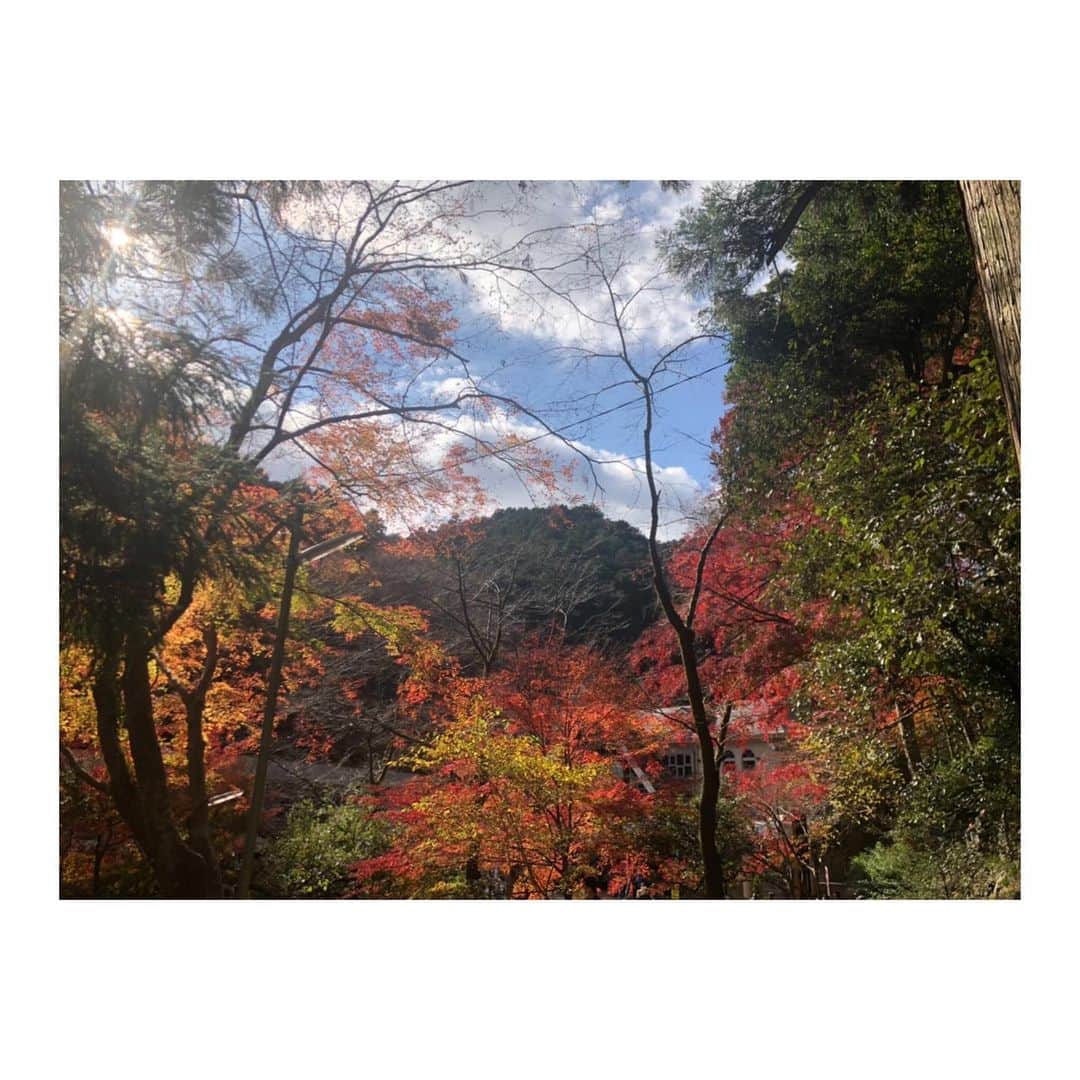 森田真以さんのインスタグラム写真 - (森田真以Instagram)「🍂 ベストシーズンに紅葉狩りに行けて 最高でしたっ💕 こりゃもう一回年内に 行くしかないな🥸 ちょっと寒そうだけど、、⛄ . 山登りにハマってしまった🥳 山頂でのカレーも最高~👲🏽🍛 . . #mountain #climbing #hiking #sky #autumn #travel #nature #travelgram #outdoor #japan #curry #takaosan #秋 #登山 #紅葉狩り#紅葉 #紅葉 #アウトドア #高尾山 #おすすめスポット #🍁 #カレー #グルメ」11月27日 19時21分 - morita_mai