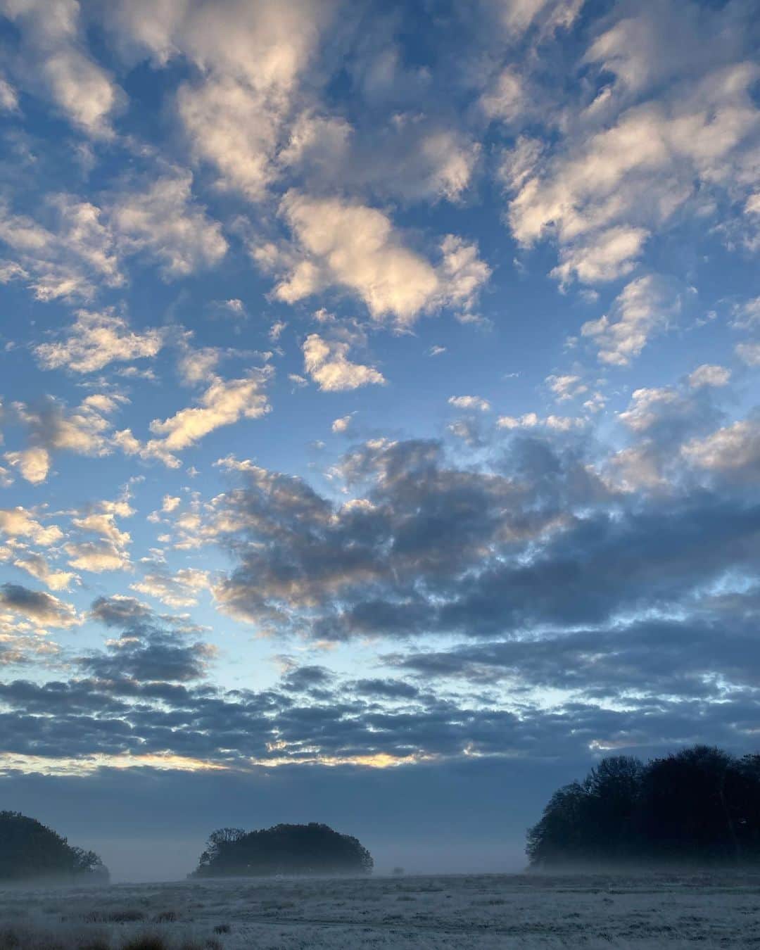ファーン・コットンのインスタグラム：「There’s magic out there. Be open to it. Me, Lola and Honey were mesmerised by the sky on the school run. Happy Friday 🌟」