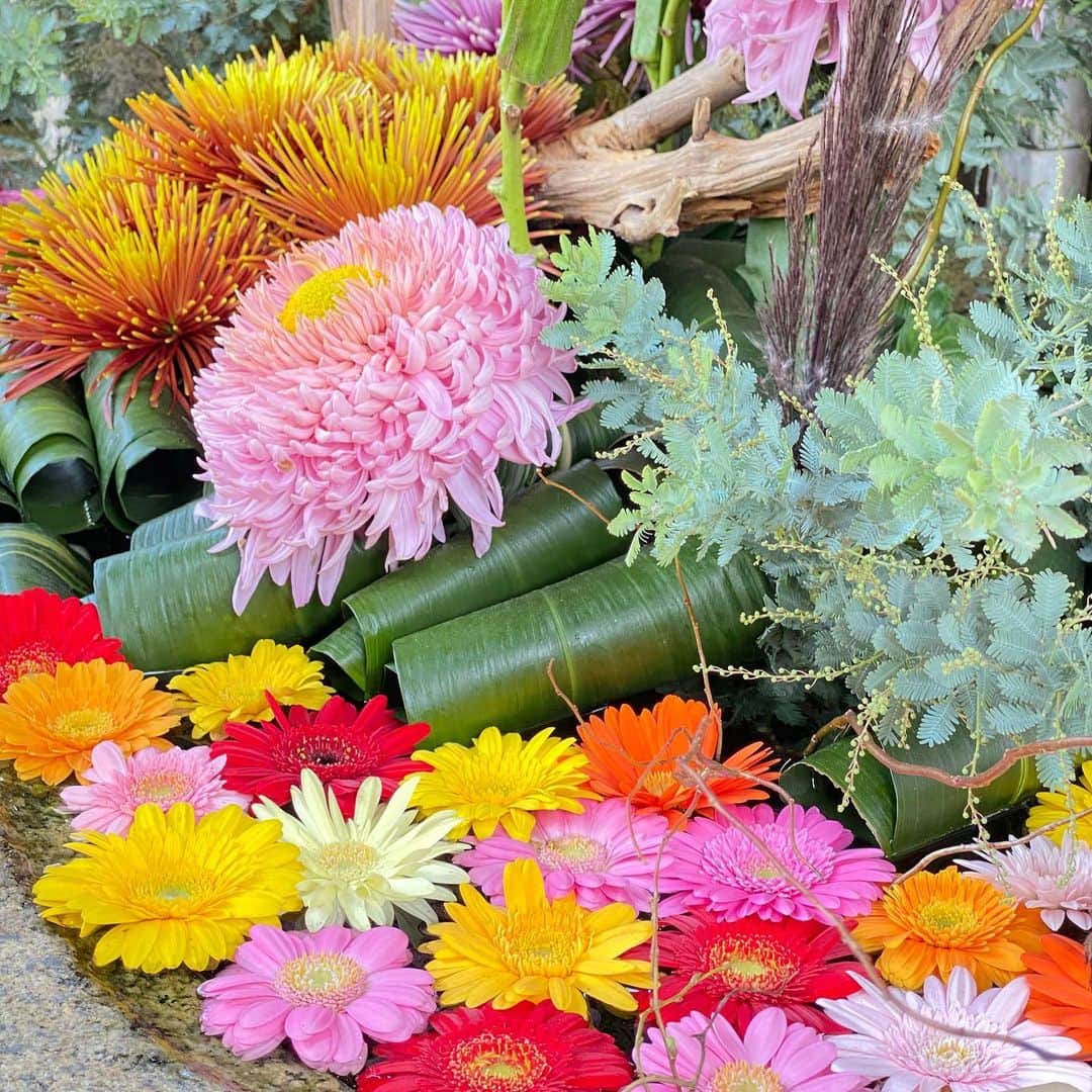 澤野井香里のインスタグラム：「可愛い#花手水 💐﻿ ﻿ #楊谷寺 も行きたいけど、微妙に遠くて迷い中🧐﻿ ﻿ #ks_20✨  #ks_kyoto✨　#京都　#北野白梅町　#北野天満宮 #京都観光 #京都紅葉 #紅葉 #紅葉ライトアップ　#🍁　#紅葉スポット#kyoto」