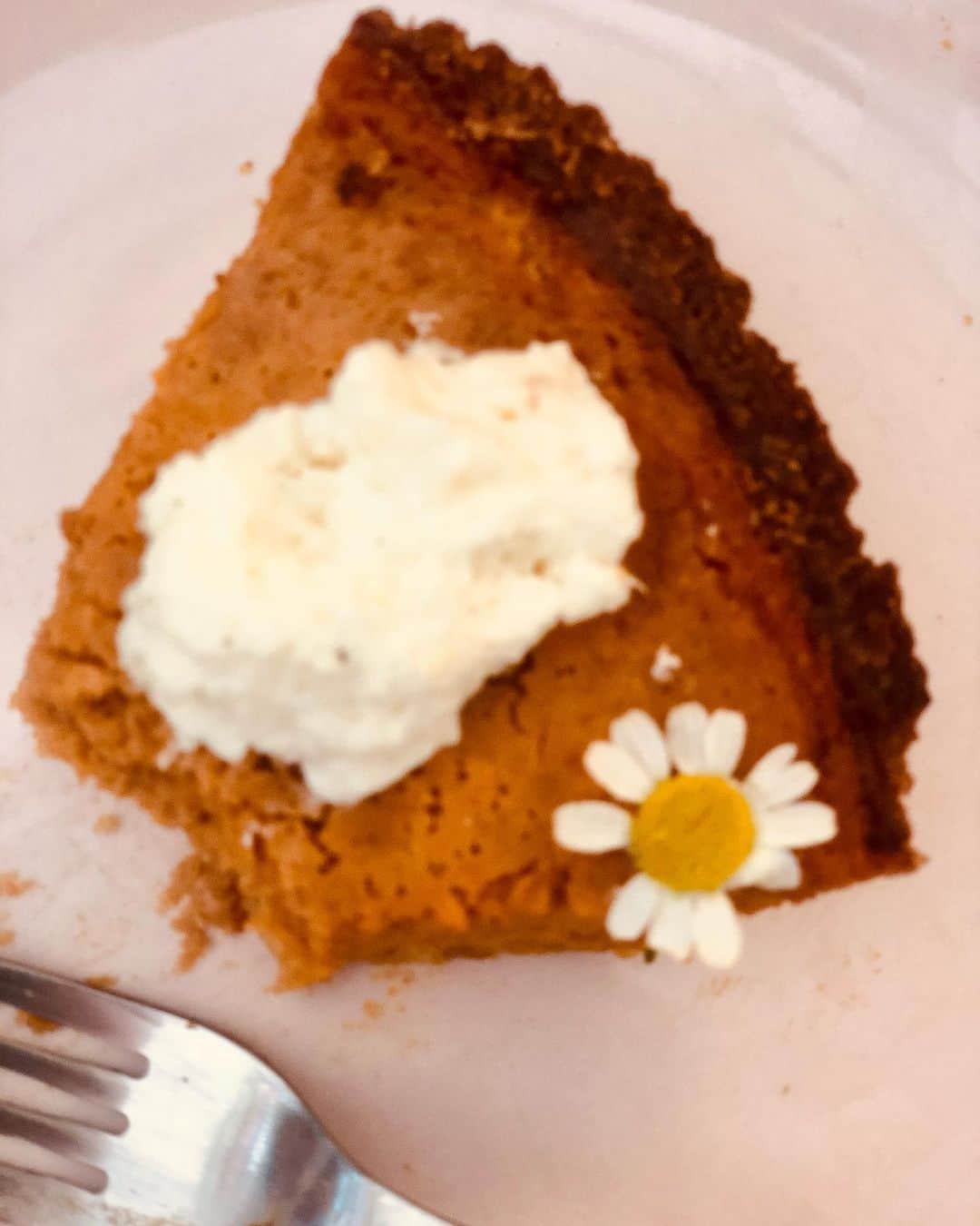 ジェニファー・グレイのインスタグラム：「pumpkin pie for breakfast with my coffee the morning after, is one of my favorite thanksgiving traditions. this year @stellagregg baked it without my help, and as it melts in my mouth i am thinking about yesterday, the beautiful feast @clarkgregg hosted for our wee group, fills me up. so much gratitude for this moment. #family #thismoment  #gratitude #pieforbreakfast」