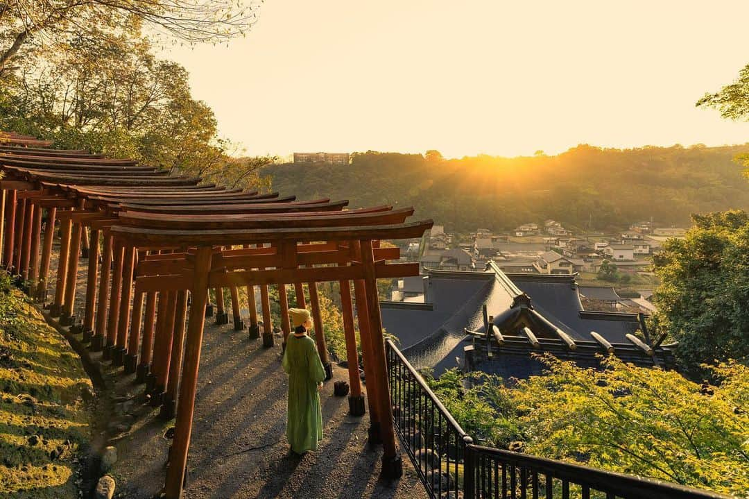 詩歩さんのインスタグラム写真 - (詩歩Instagram)「＼佐賀のみなさん！／﻿ ﻿ 佐賀県さんのお仕事で「絶景伝承芸能」映像のロケ地選定をさせていただきました！﻿ ﻿ #嬉野の茶畑 #杜の茶室 #祐徳稲荷神社 #轟の滝 など私が選んだスポットで、昔から伝わる伝承芸能が演舞されています。﻿ ﻿ 異色のコラボだけど、これが超カッコいいの！！！😳佐賀県の皆さんにぜひ見てほしい✨﻿ ﻿ 2分の短い映像なのでぜひYoutubeからフルverをご覧ください👹﻿  https://youtu.be/N-Ls2dlwWfc﻿ ﻿ （🔍Youtubeで「絶景伝承芸能」と調べると見れます！）﻿ ﻿ ﻿ 「伝承芸能」と聞いてもピンとこない人が多いと思いますが、獅子舞や神楽、太鼓などその地に昔から伝わる芸能のこと。近年は後継者が減り、このままでは”伝承”できず途絶えてしまうものも出てくる可能性があるそう。﻿ ﻿ その土地でやることに意味がある伝承芸能。まず知ってもらうきっかけを、ということで今回の #絶景伝承芸能 の映像制作は始まっています。﻿ ﻿ 撮影中、実際に獅子舞の演者さんともお話したのですが、しゃべると普通のお兄さんたちなのに、面をつけて演舞が始まると何かが憑依したように一気に雰囲気がかわることにびっくり😳撮影中も、観光客の方が自然に集まってきたりと、やっぱり地域に必要な存在なんだなあ、と感じさせられます。﻿ ﻿ そんな私の個人的にお気に入りのシーンは1:46〜！Youtubeのロングverから見てくださいね😊﻿ ﻿ 📷﻿ ﻿ Postした写真は、ロケ地の一つである #祐徳稲荷神社 での一枚。﻿ ﻿ 日本三大稲荷のひとつとされるその広い境内には、入口から山の上の奥の院まで、赤い鳥居がずらり！朝日が登る前から撮影をしていたので、ちょうど鳥居をくぐっているときに日の出を迎えました。（という撮影の大変さを物語る一枚です笑）﻿ ﻿ この祐徳稲荷神社でも、ドローンを駆使したCinematicなシーンがたくさんあるのでぜひご覧くださいね。﻿ ﻿ 皆さんの感想、ぜひお聞かせください✨﻿ ﻿ ﻿ Producer  @afromance さん﻿ 📍祐徳稲荷神社／佐賀県﻿ 📍Yutoku Inari Shrine／Saga Japan﻿ #shiho_saga #pr﻿ ﻿ ﻿ ﻿ ©Shiho/詩歩﻿」11月27日 21時13分 - shiho_zekkei