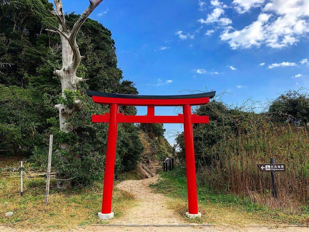 能美黎子さんのインスタグラム写真 - (能美黎子Instagram)「・ 伊豆最古の神社 「白浜神社⛩ @sirahamajinja 」 ・ 拝殿の境内には 縁結びの神様 見目弁財天様。 ・ 白浜海岸にある鳥居⛩は 本当に絶景。 ・ -------------------------------- Izukoチケット🎫を使うと 白浜神社内で御神籤が一回引けます⛩ https://izuko.info/ -------------------------------- ・ 「OZのよりみちIzukoツアー」 Izukoでスマートトリップ！伊豆ツアー @tokyo_joshibu  ・ #Izuko旅#OZの女子旅#東京女子部#伊豆女子旅#伊豆旅#白浜神社 #白濱神社 #白濱神社伊古奈比咩命神社 #白浜海岸 #お出かけスポット #伊豆旅行 #東伊豆 #大人女子旅 #週末旅行 #週末の過ごし方 #休日の過ごし方 #たびじょ#おすすめスポット #旅したくなるフォト #美黎旅 #たびすたぐらむ #神社巡り #縁結びの神様 #絶景スポット #日本の絶景 #絶景 #ダレカニミセタイケシキ #ダレカニミセタイウミ #撮影スポット#縁結び」11月27日 21時28分 - reikonohmi