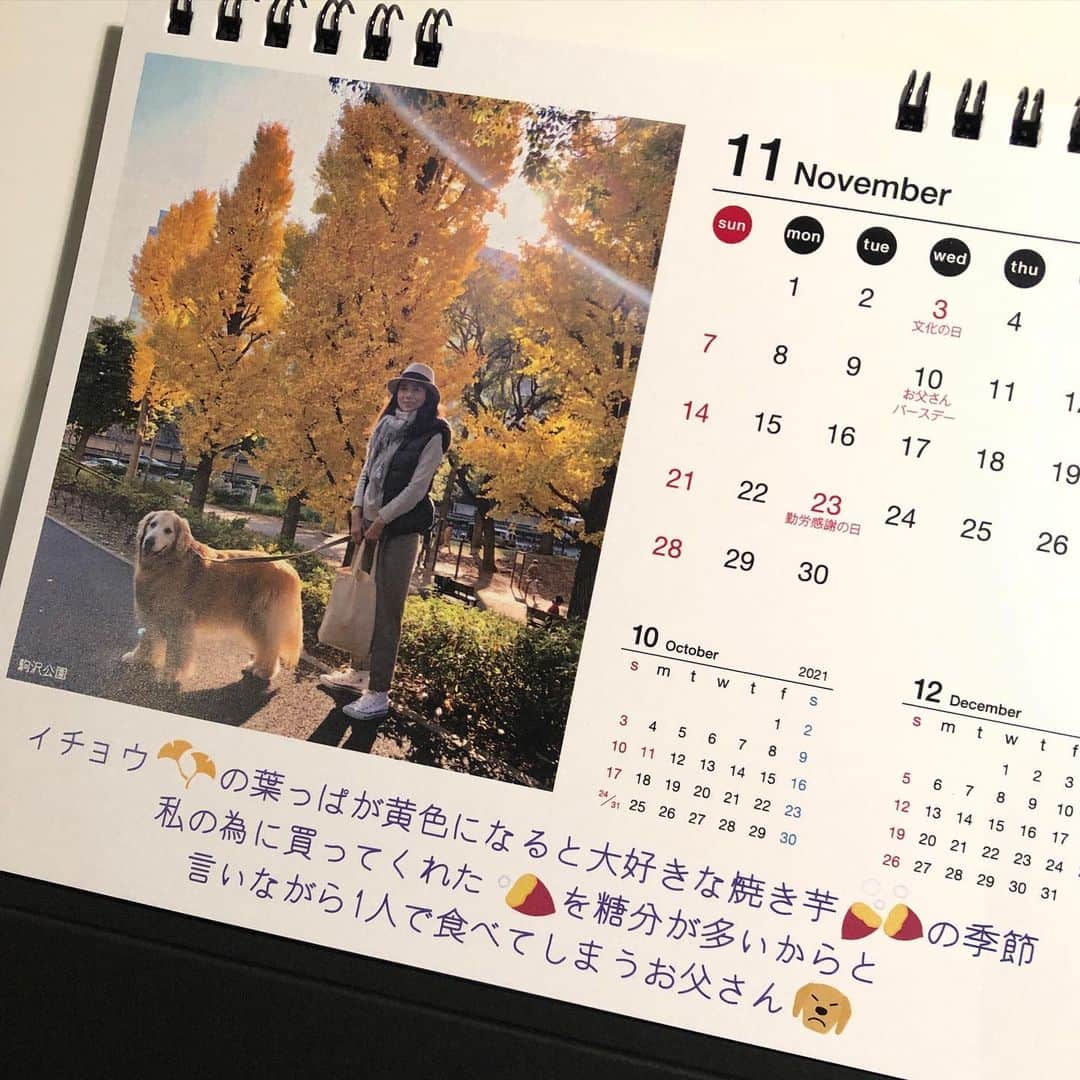 高橋ひとみさんのインスタグラム写真 - (高橋ひとみInstagram)「2021年 「ももえカレンダー」🐶 Part2  7月〜12月 写真がたくさんあり過ぎて、13枚を選ぶのは大変です😅 来年は日めくりカレンダー📆⁉️ お父さんは「ももえの声コメント」を考えるのに、この時期、頭を悩ませています😁」11月27日 21時32分 - hitomi_momoe