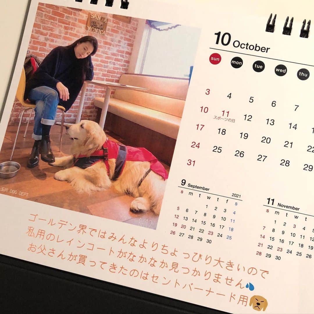 高橋ひとみさんのインスタグラム写真 - (高橋ひとみInstagram)「2021年 「ももえカレンダー」🐶 Part2  7月〜12月 写真がたくさんあり過ぎて、13枚を選ぶのは大変です😅 来年は日めくりカレンダー📆⁉️ お父さんは「ももえの声コメント」を考えるのに、この時期、頭を悩ませています😁」11月27日 21時32分 - hitomi_momoe