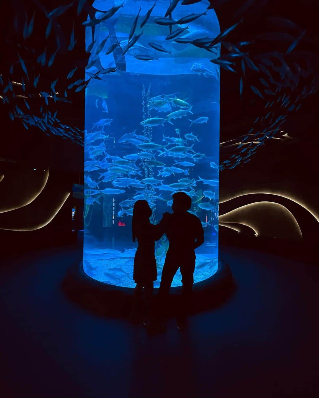 Aurelさんのインスタグラム写真 - (AurelInstagram)「You complete me 🥰 . . . @jakartaaquarium」11月27日 21時48分 - aurelie.hermansyah