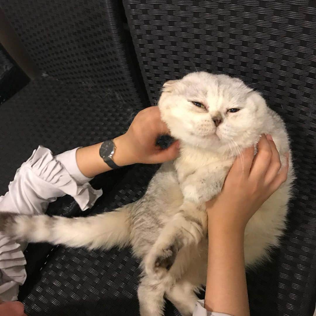 Haruのインスタグラム
