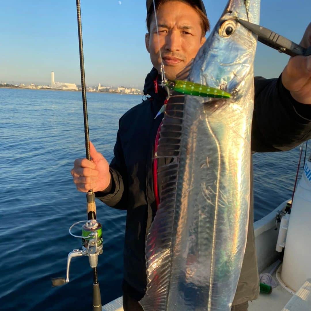 宮田和幸さんのインスタグラム写真 - (宮田和幸Instagram)「仕事の合間にサクッと釣りしてきました。 #太刀魚 #サワラ #釣り #東京湾」11月27日 22時19分 - miyata.hercules