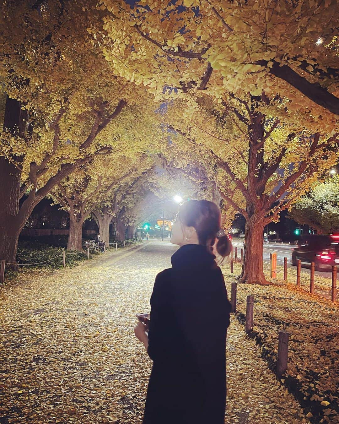 西村麻依のインスタグラム：「. 🍁🍁🍁 . #神宮外苑いちょう並木 #紅葉」