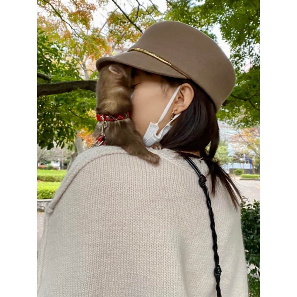 芳根京子さんのインスタグラム写真 - (芳根京子Instagram)「肩、たまに頭にも乗ってくるので 我が家ではピカチュウと呼ばれてます。 (呼んでるのは私だけか)  カメラに興味津々たぬたぬ。  3枚目は、 ぺとっ。ってしてきました。  なによ🦫  #たぬ日記」11月27日 22時33分 - yoshinekyoko