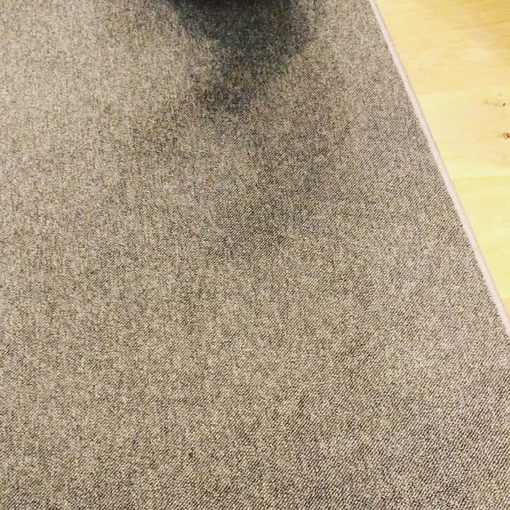 北山陽一のインスタグラム：「ぴゅうとなくいぬをどうぞ。#きたやまおかき」