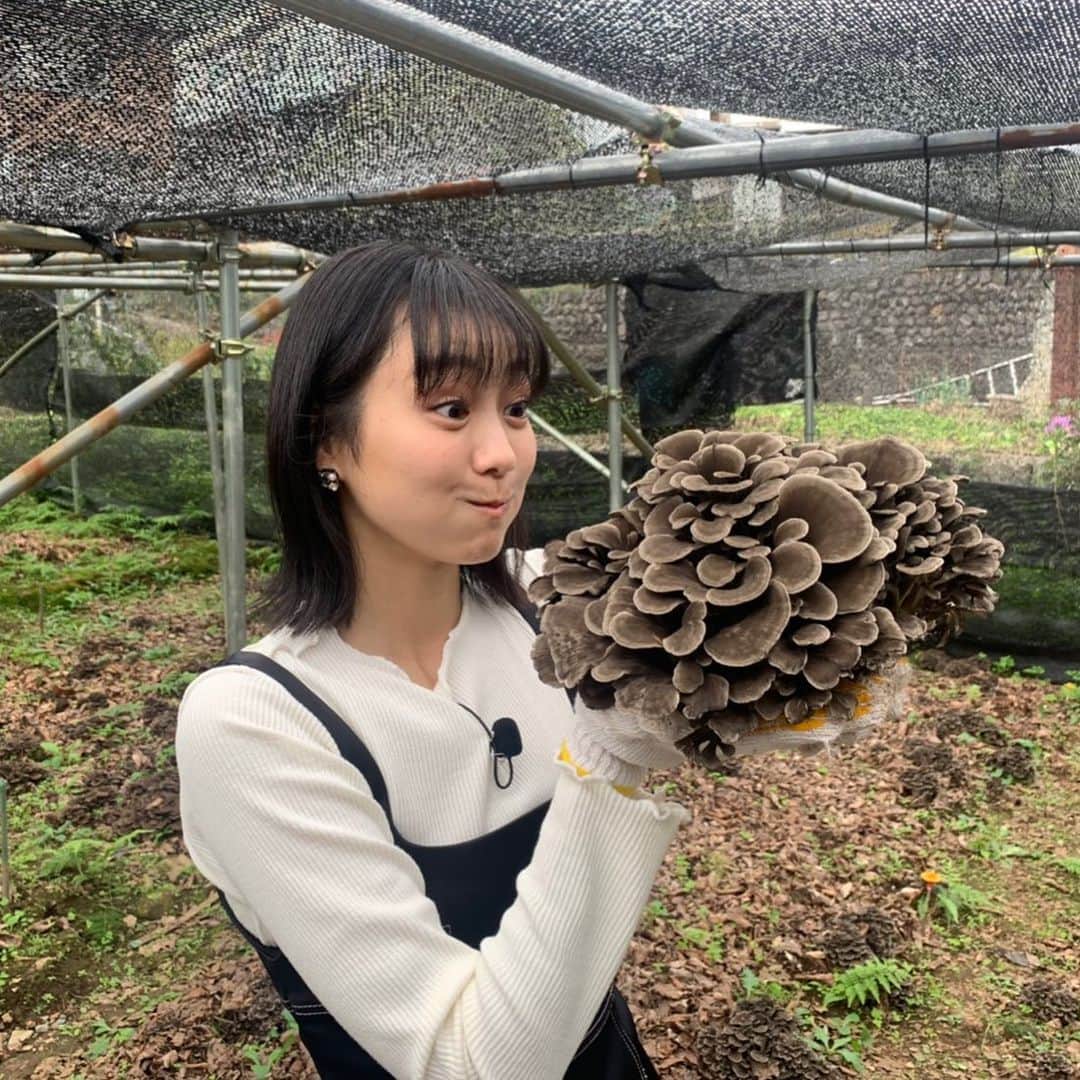 高田夏帆のインスタグラム
