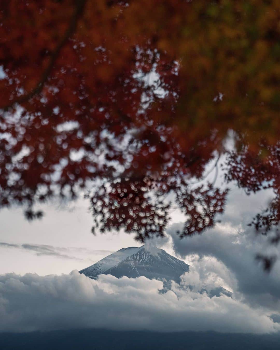 福田洋昭さんのインスタグラム写真 - (福田洋昭Instagram)「Giving thanks from Mt. Fuji 🗻🍂」11月27日 22時36分 - hirozzzz