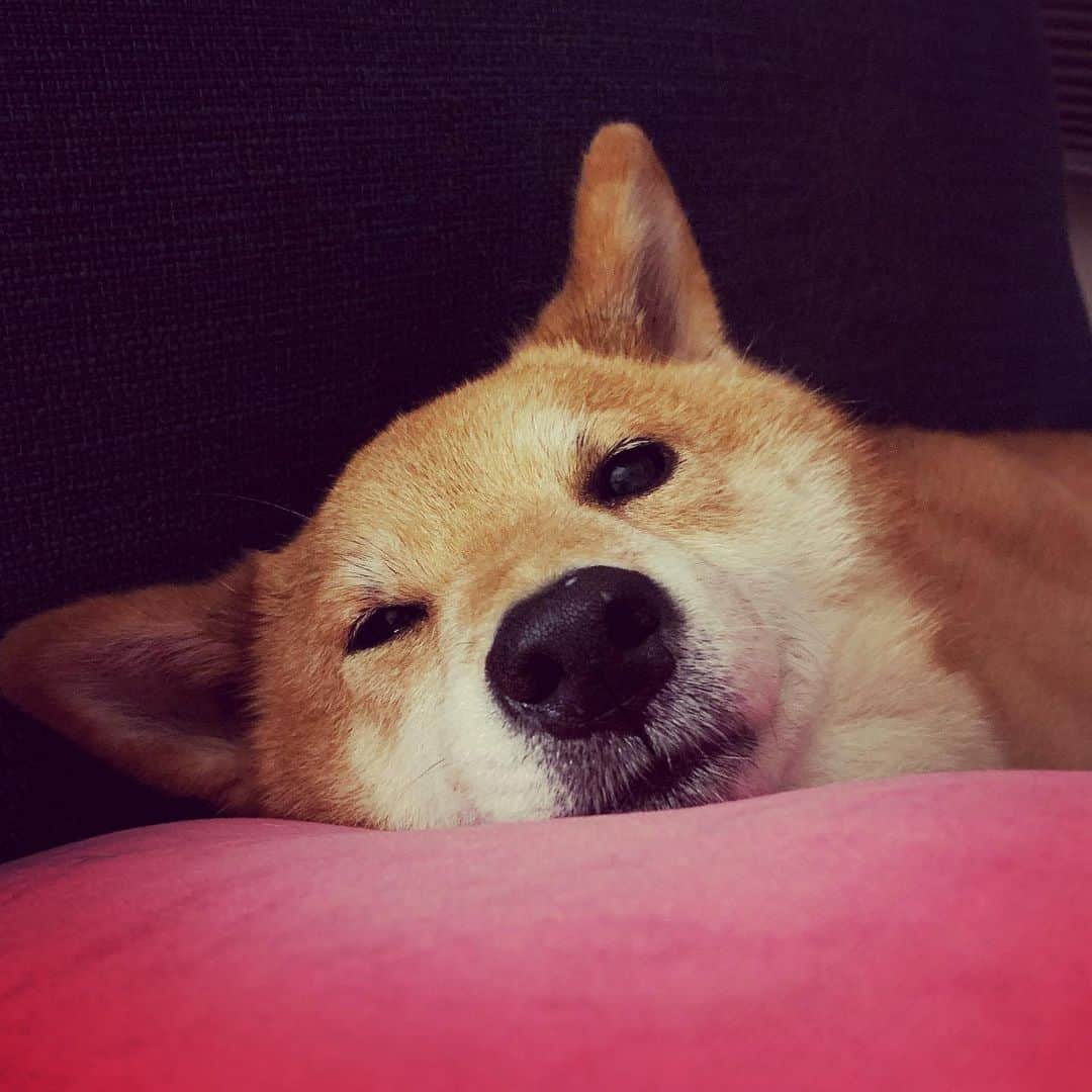 Coffeeのインスタグラム：「晚安😴 #coffee_and_apple」