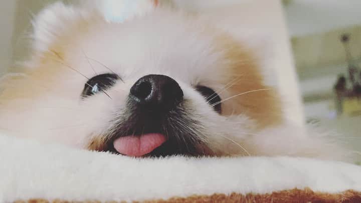 r_oseのインスタグラム：「The biggest version of me🐰〰️」