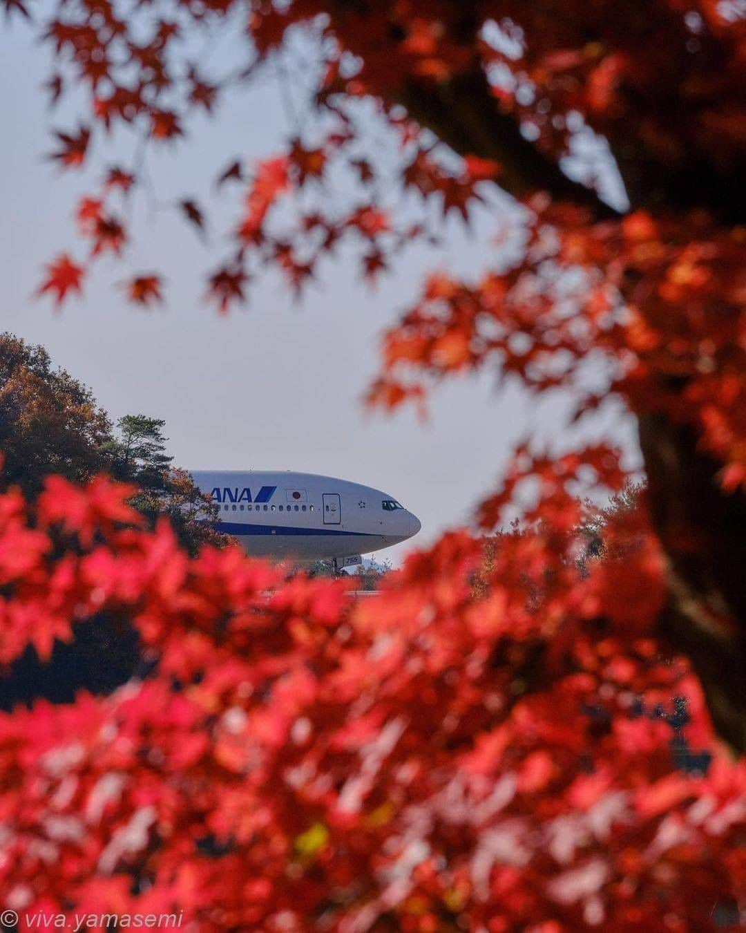 All Nippon Airwaysさんのインスタグラム写真 - (All Nippon AirwaysInstagram)「Pre-takeoff views 🍁 📷 @viva.yamasemi #Regram #FlyANA」11月27日 23時00分 - allnipponairways