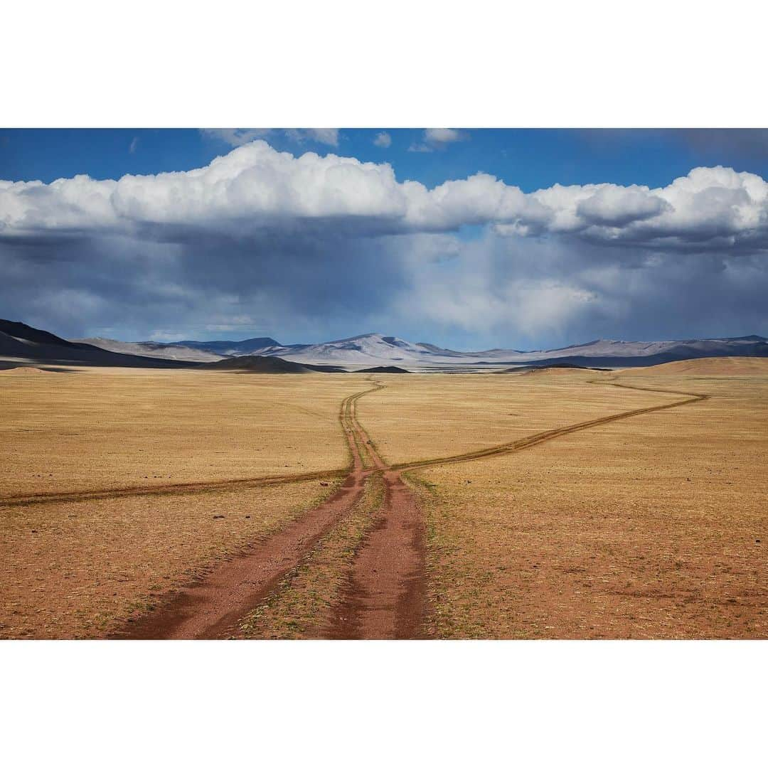 スティーブ・マカリーさんのインスタグラム写真 - (スティーブ・マカリーInstagram)「Northern #Mongolia near Russian border, 2018. You can find this image in my new book, "In Search of Elsewhere." Link in bio to purchase.」11月27日 23時40分 - stevemccurryofficial