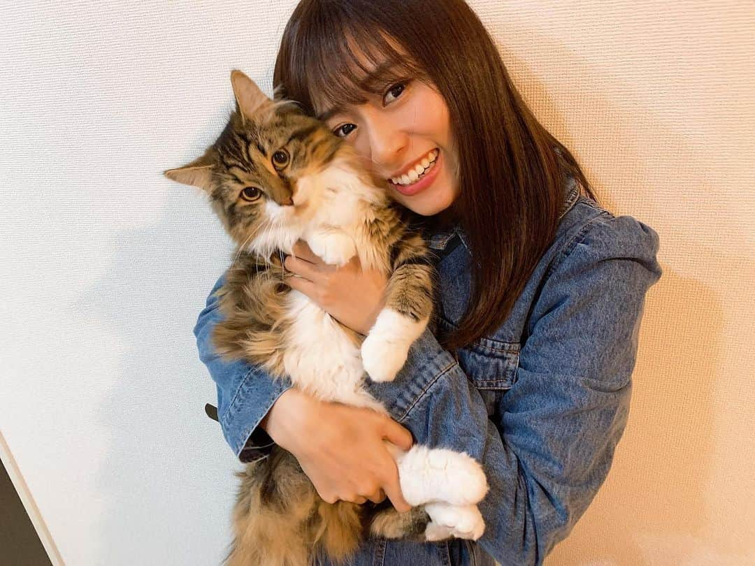 内木志さんのインスタグラム写真 - (内木志Instagram)「🐈💕 #内木ショパン #子猫 #ノルウェージャンフォレストキャット」11月27日 23時39分 - cocoro_naiki