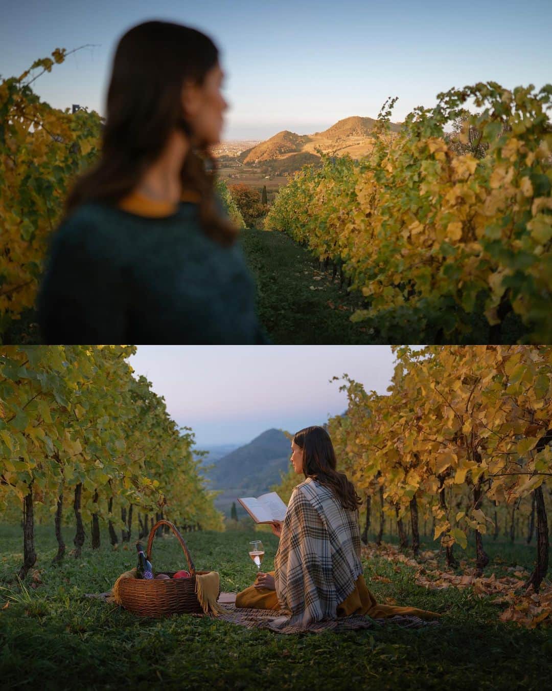 Simone Bramanteさんのインスタグラム写真 - (Simone BramanteInstagram)「{ Soft Hills of Elegance } • This year I have worked many times in this area of Northern Italy, finding unplanned emotions.  As in this case, in the middle of a vineyard, to be inspired by the words of Petrarca, a traveler poet, when he describes Italy -  'The beautiful country that starts from the Apennines surrounded by the sea and the Alps’ - and leaves me tied to this placid and elegant area, made of soft shapes, vineyards and greenery in every corner, as if it were a long dream away from the busy sounds of the flat land.  From a recent creative series made with and for @proseccoDOC and @proseccodoc_usa an excellent cultural and productive identity of Veneto and Friuli Venezia Giulia.  #DrinkPink #ItalianGenio #ProseccoDOC #adv」11月28日 0時11分 - brahmino