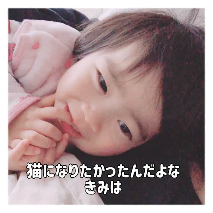 mamamizu.32のインスタグラム：「#🐈#猫」