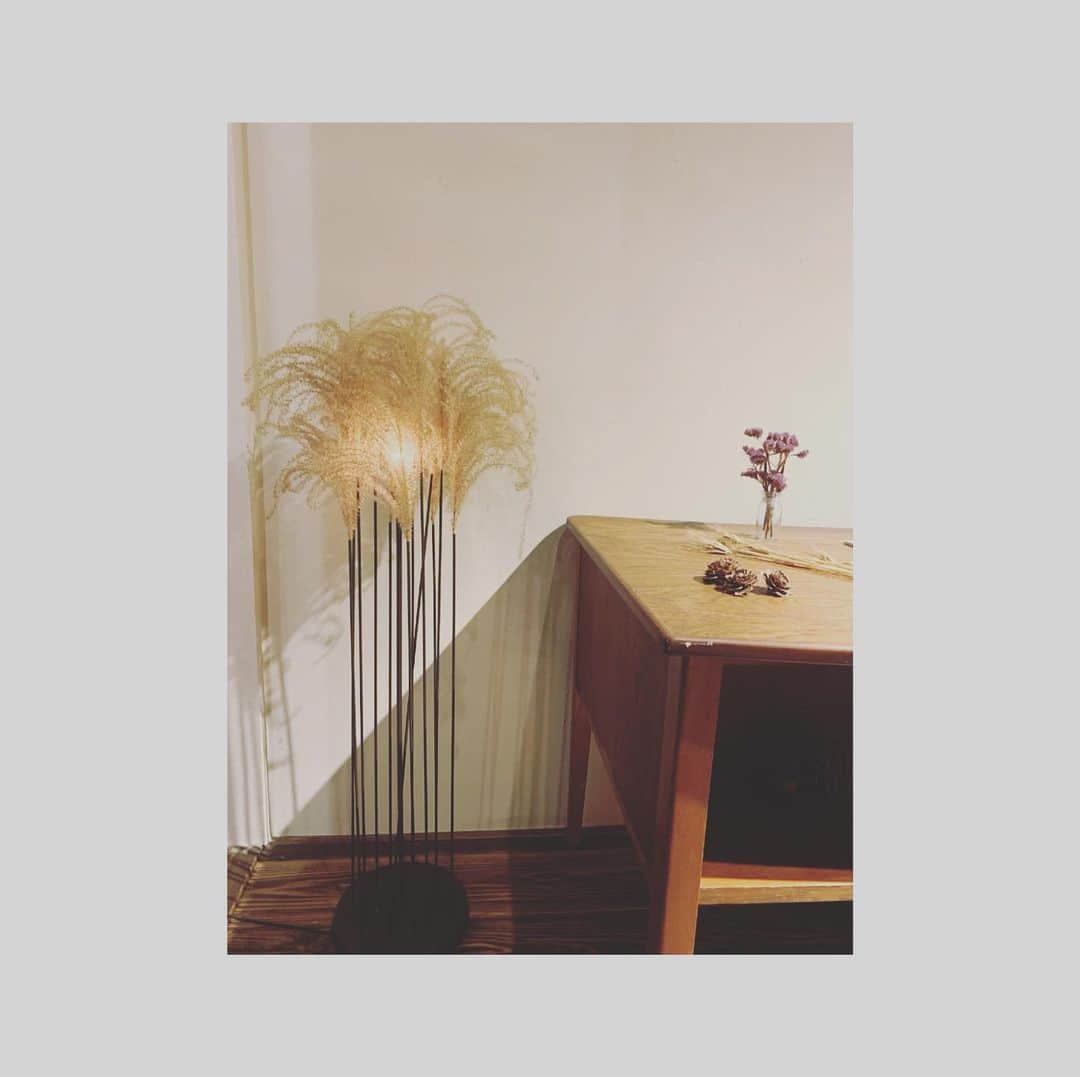 のインスタグラム：「：インテーリア  いいなぁ。こんなお部屋。  さっきさ、ストーリー編集途中で投稿しちゃってたみたい（笑）  シンプルでした すみません笑  #インテリア #カフェ #すすき #和 #可愛い #癒し #シンプルインテリア」
